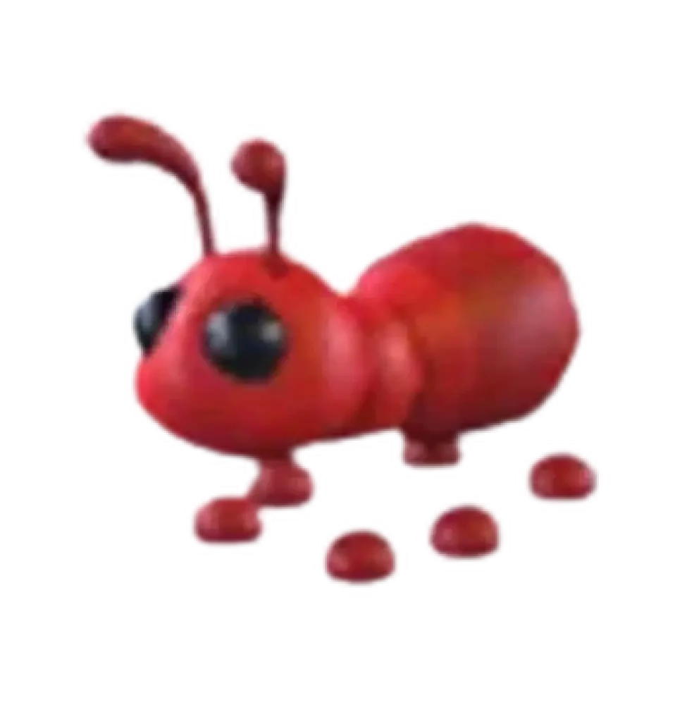 Ant - Adopt Me