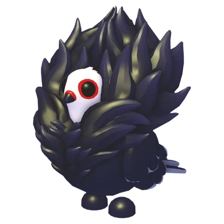 MFR Jacobin Pigeon