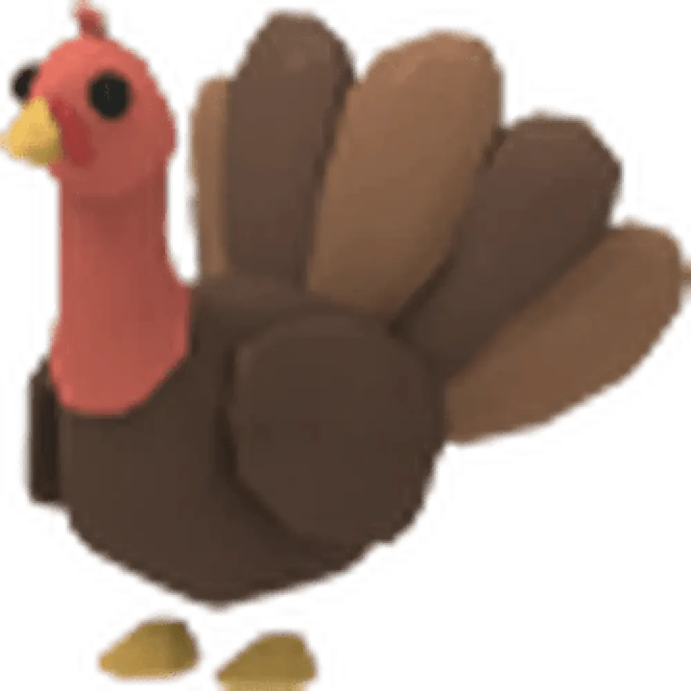 NFR Turkey - Adopt Me