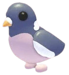 NFR Wood Pigeon - Adopt Me