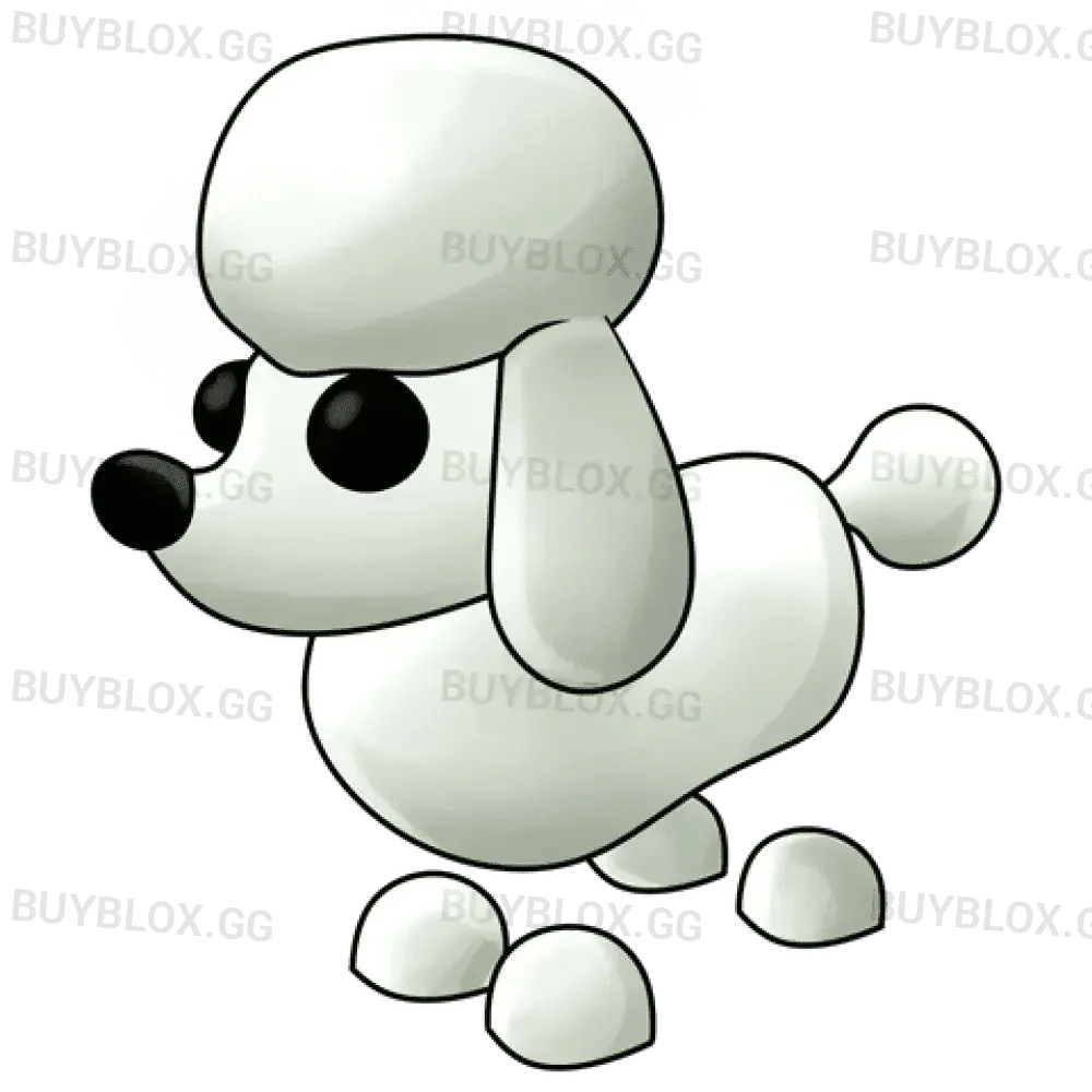 Poodle - Adopt Me