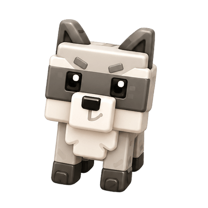 Raccoon