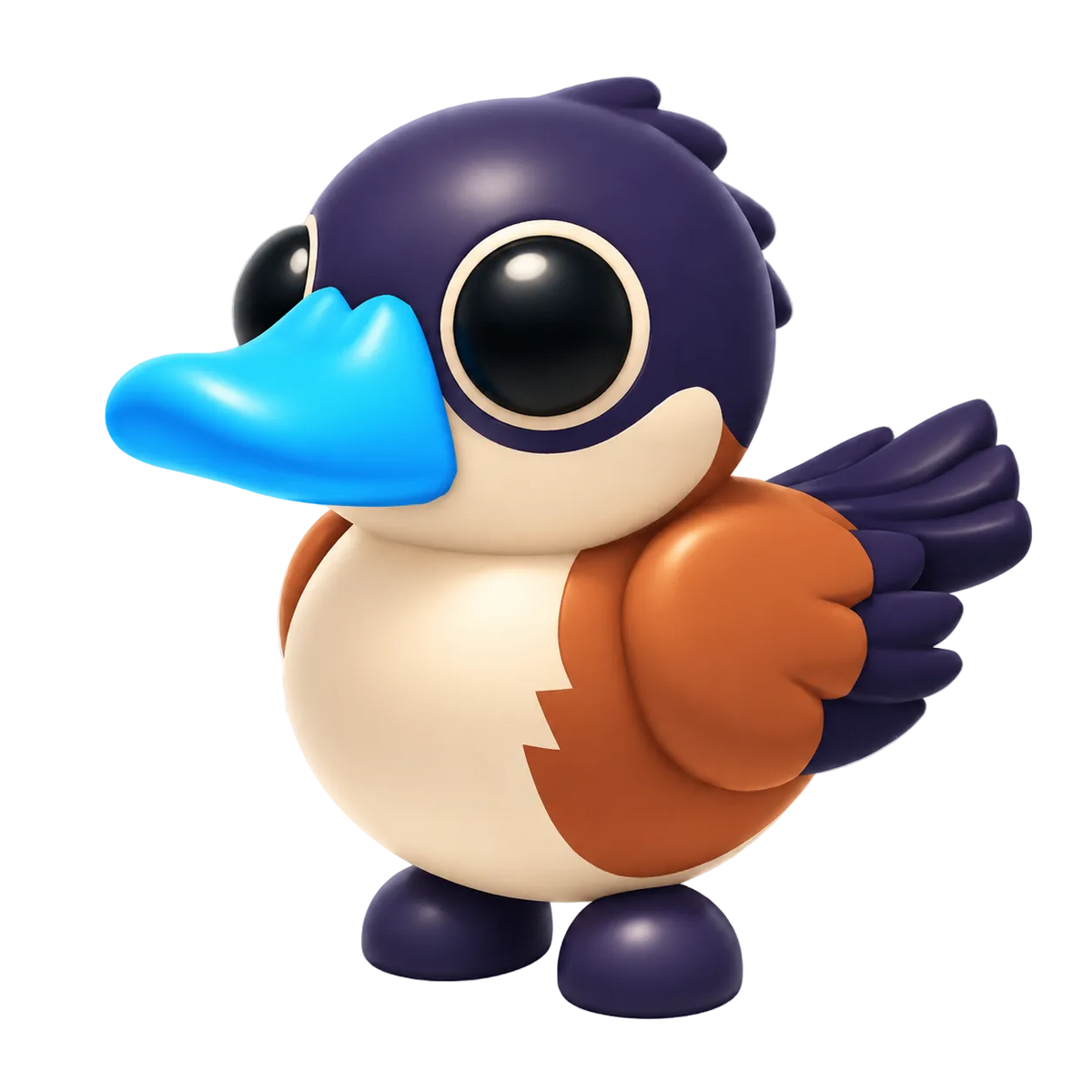 NFR Ruddy Duck