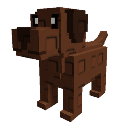 Chocolate Lab