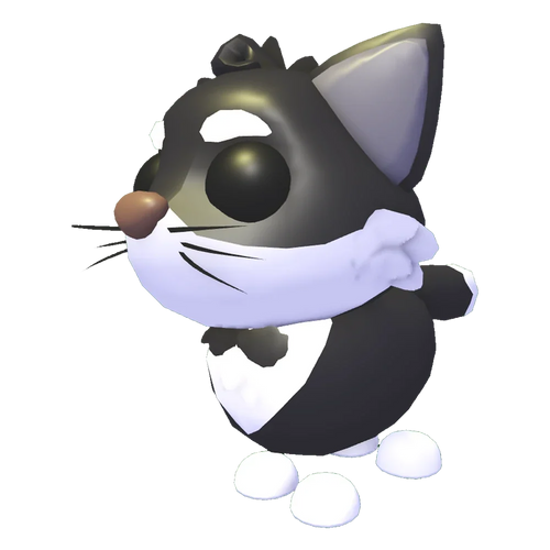 Tuxedo Cat