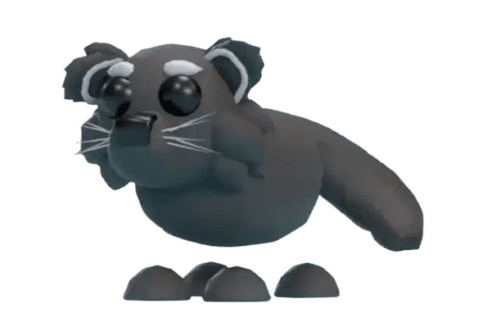 Binturong - Adopt Me