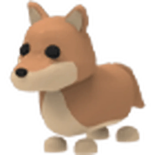 Dingo