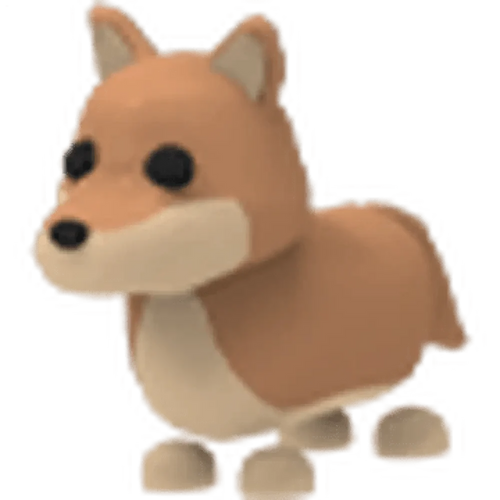 Dingo
