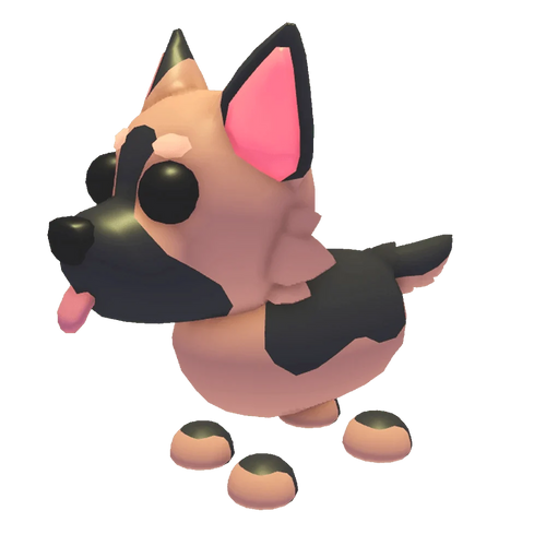 NFR German Shepherd