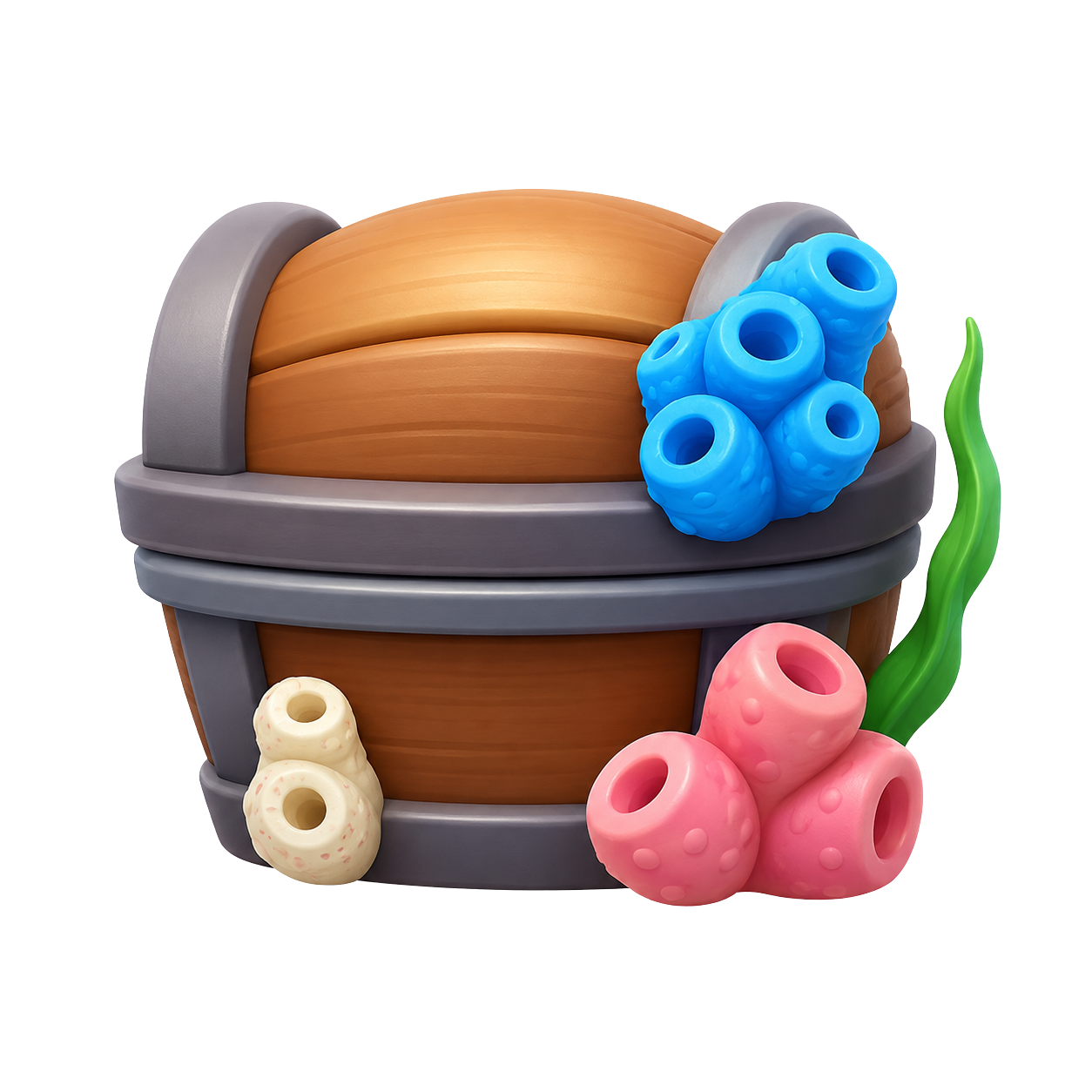 Hermit Crab Box