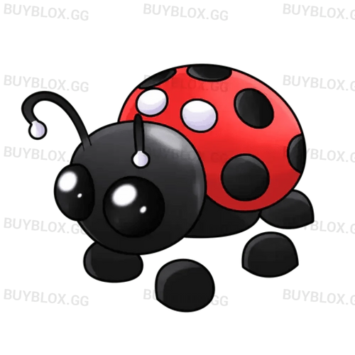 Ladybug