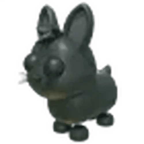 MFR Amami Rabbit