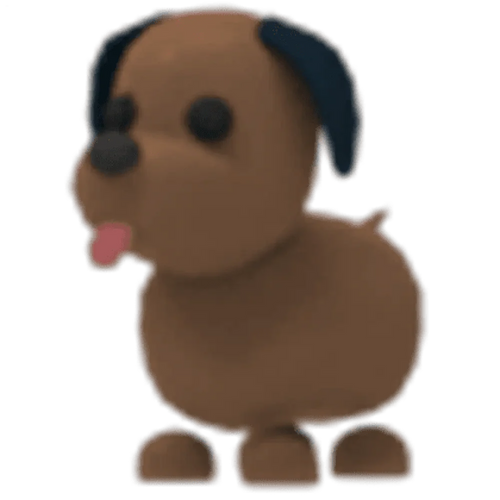 MFR Chocolate Labrador