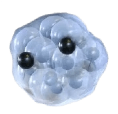 MFR Frogspawn