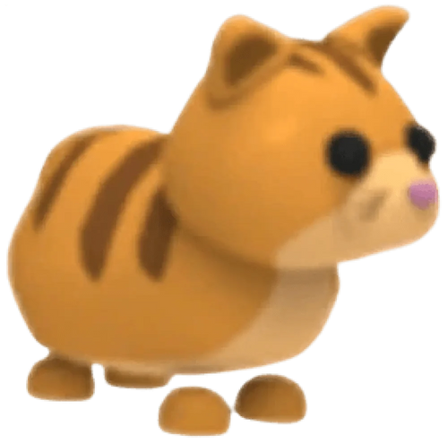 MFR Ginger Cat