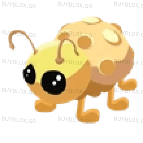 MFR Golden Ladybug