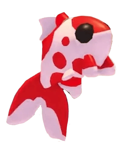 MFR Koi Carp
