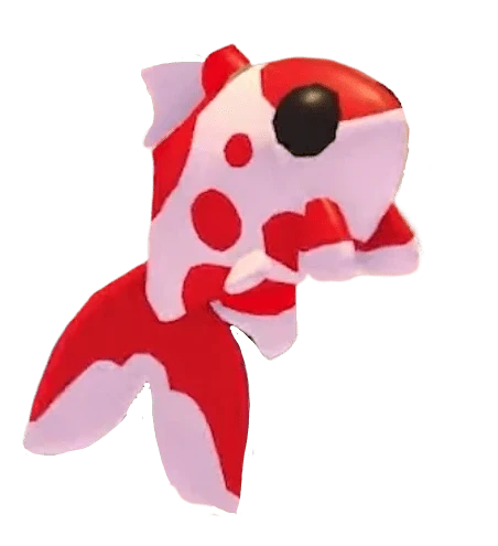 Koi Carp