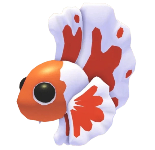 Orange Betta Fish