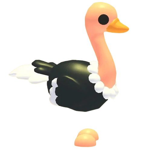 Ostrich