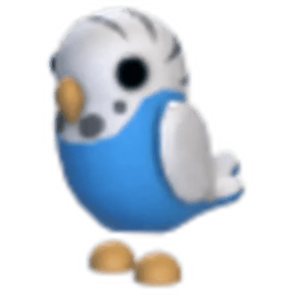 MFR Parakeet - Adopt Me