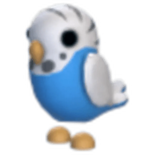MFR Parakeet