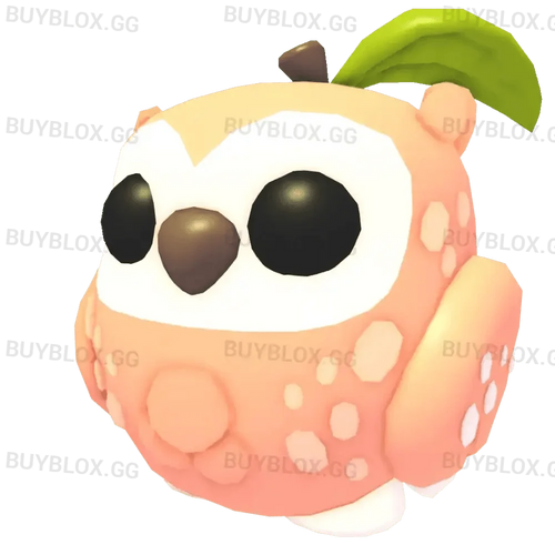 MFR Peach Owl