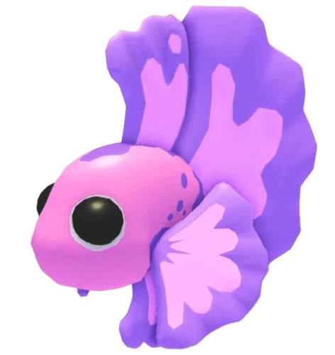 MFR Pink Betta Fish