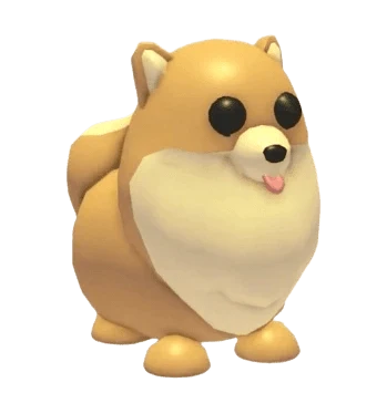 MFR Pomeranian