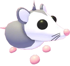MFR Possum - Adopt Me