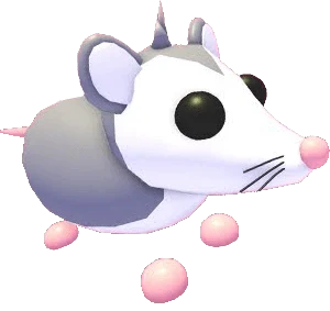 Possum