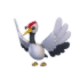 Red Crowned Crane
