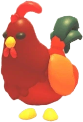 Rooster