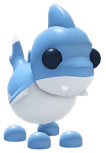MFR Shark Puppy