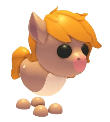 Show Pony