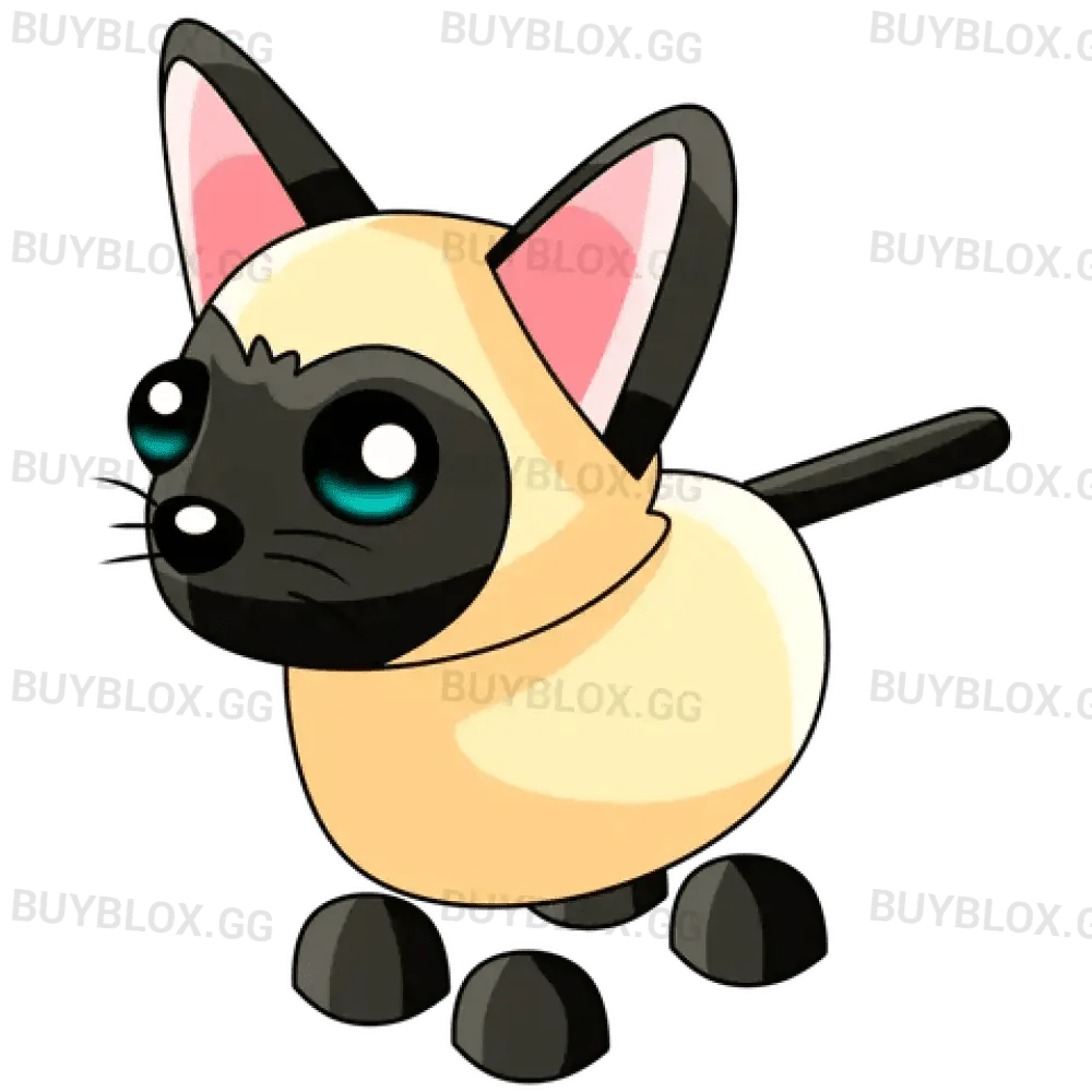 MFR Siamese Cat - Adopt Me
