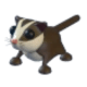 Sugar Glider