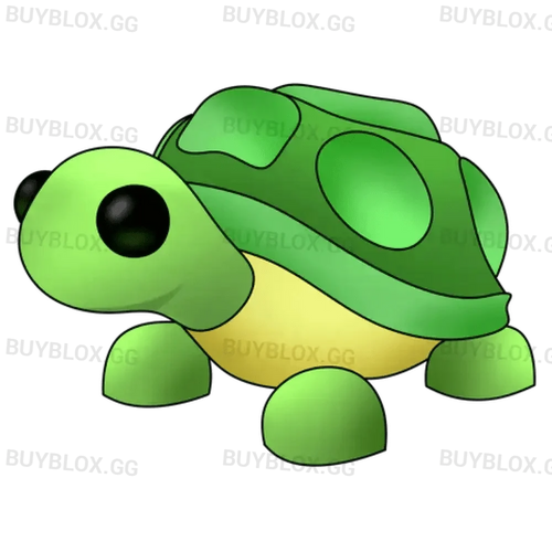 MFR Turtle