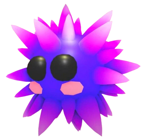 Urchin