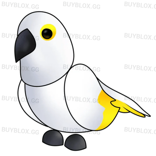 MFR White Amazon