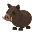 Wild Boar