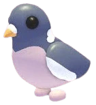 MFR Wood Pigeon - Adopt Me