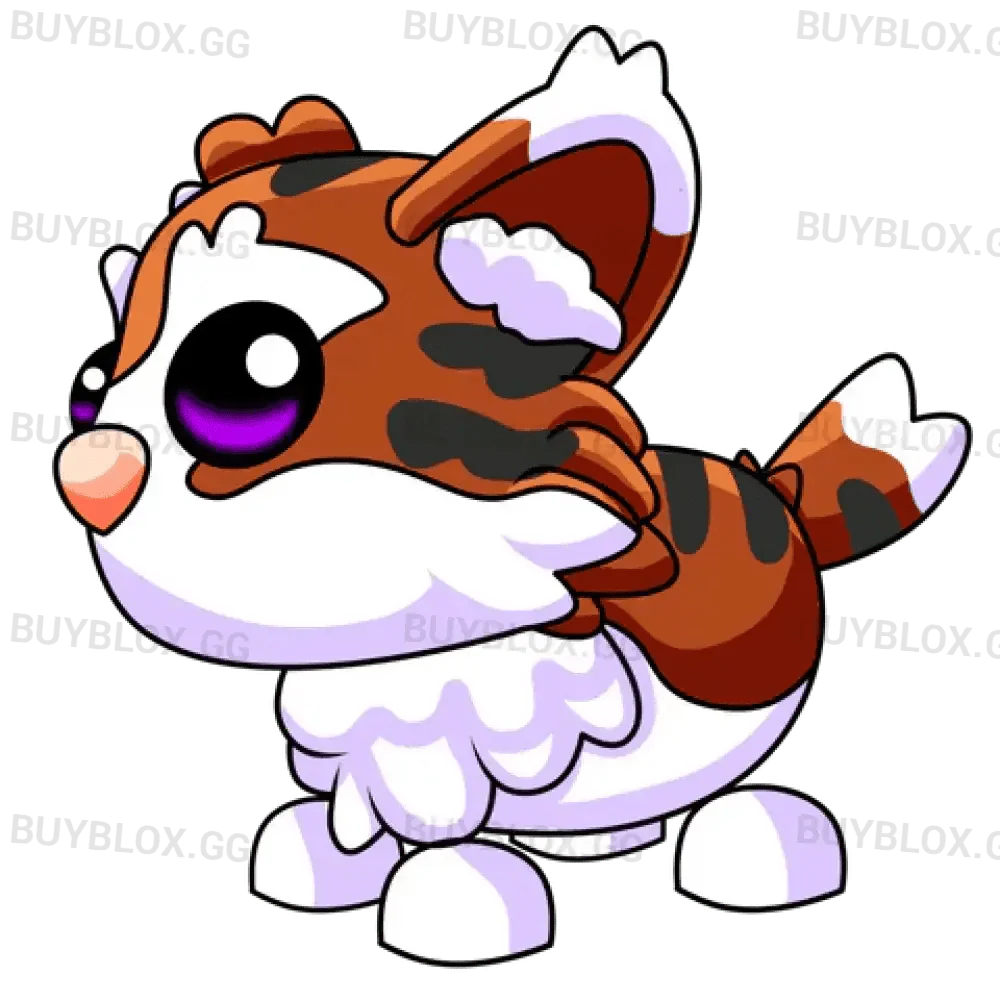 Munchkin Cat - Adopt Me