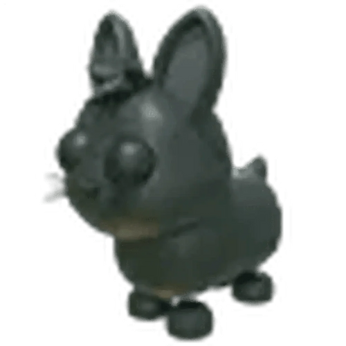 NFR Amami Rabbit