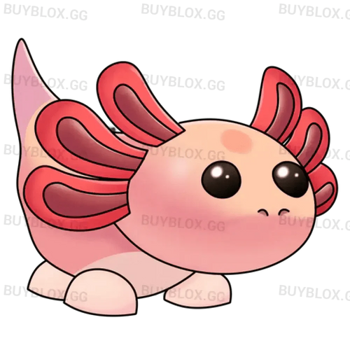 NFR Axolotl