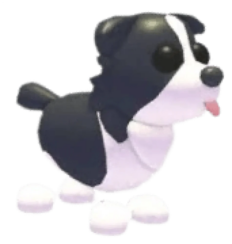 NFR Border Collie