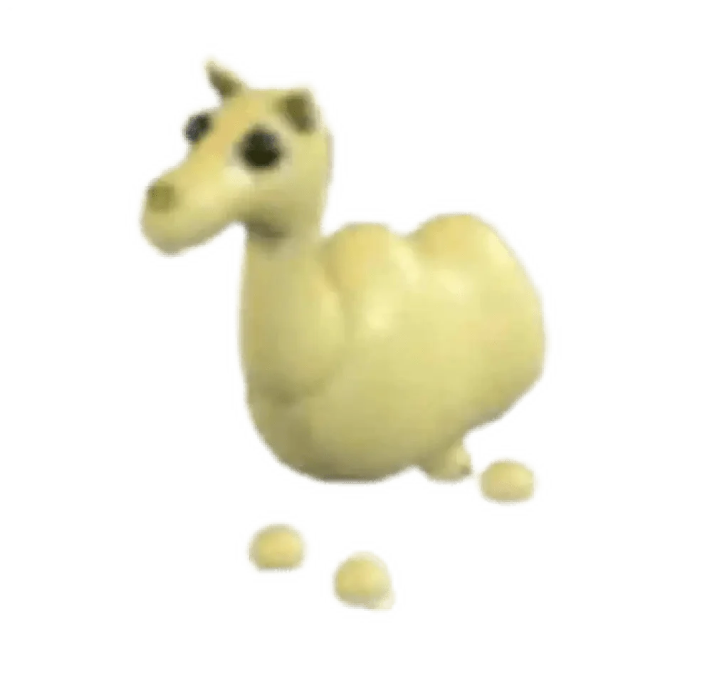 NFR Camel - Adopt Me