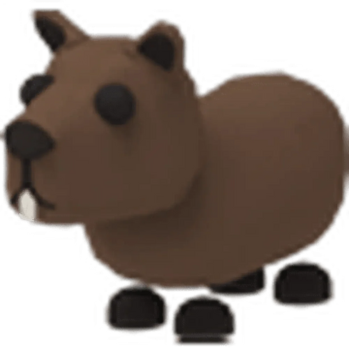 NFR Capybara