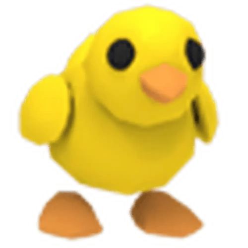 NFR Chick