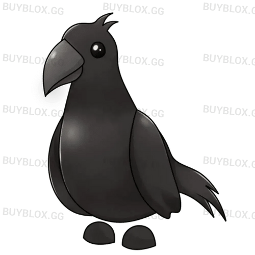NFR Crow